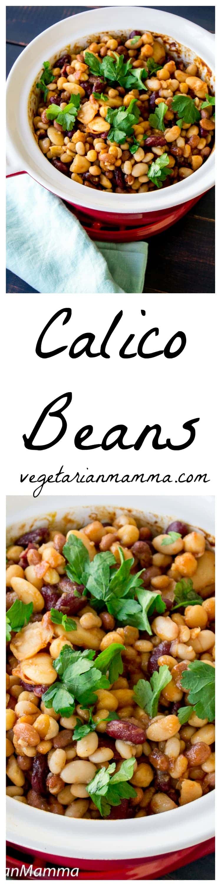 Calico Beans (Vegetarian Side dish)