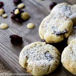 Allergy Friendly Gluten Free Lemon Cranberry Cookies