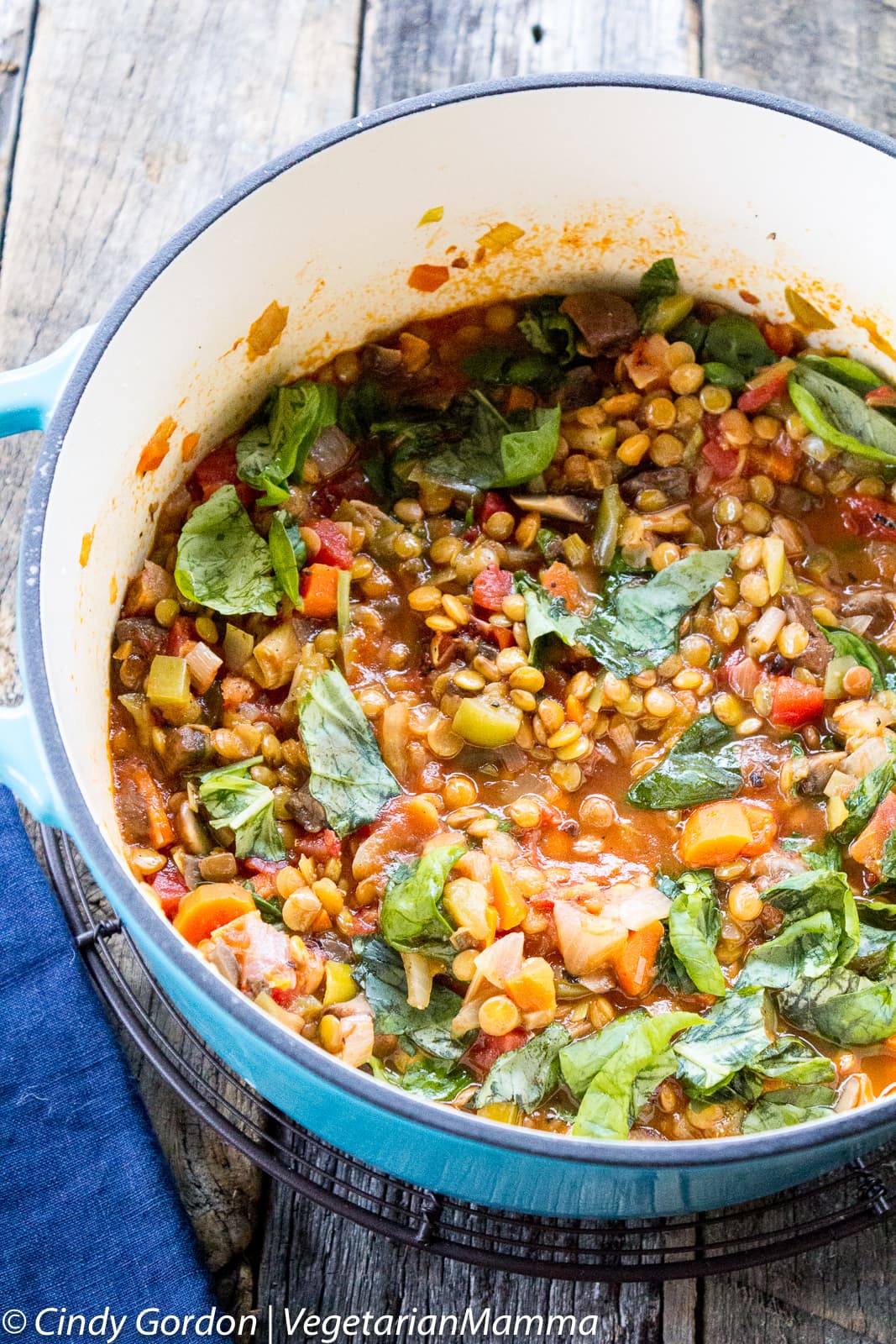 dutch oven of vegetable ragu