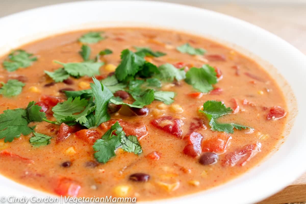 Slowcooker Tex Mex Enchilada Chowder in a white bowl topped with cilantro.