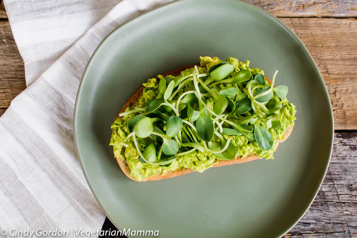Fried Egg Avocado Toast with sprouts on top