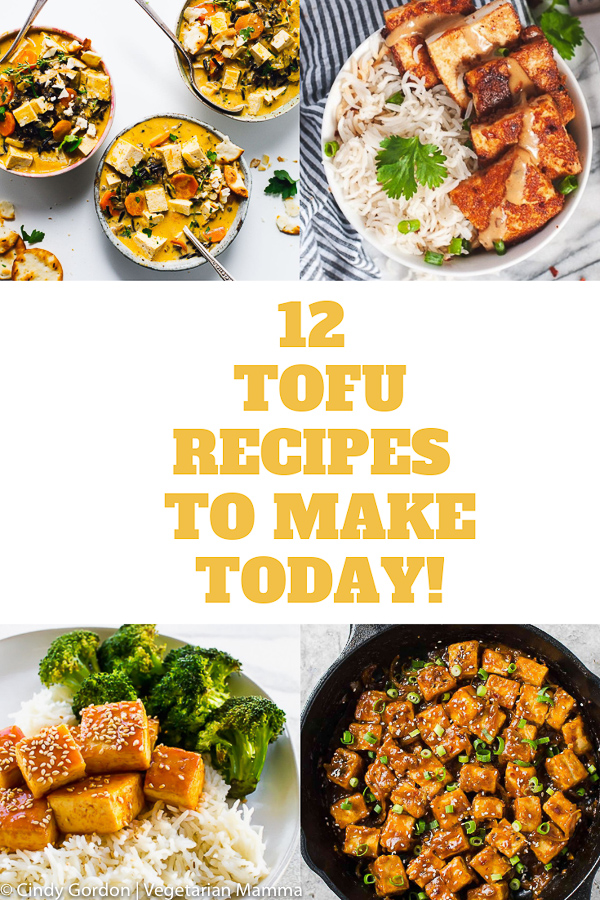 A collection of 12 easy to make tofu recipes