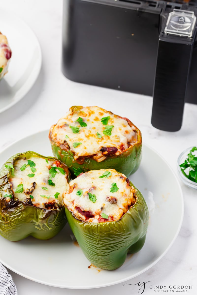 cooked cheesey air fryer stuffed peppers