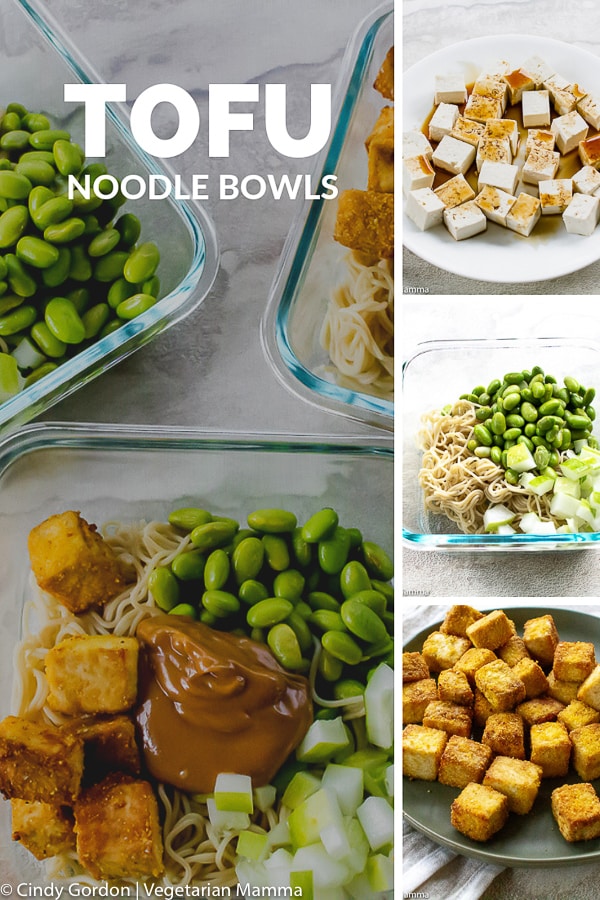 photo collage of images of tofu noodle bowls, with the title, Tofu Noodle Bowls.