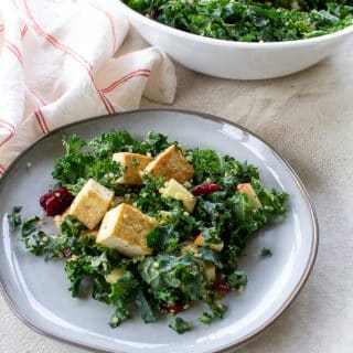 Tofu, kale, apples, green onions, and cranberries on a white plate