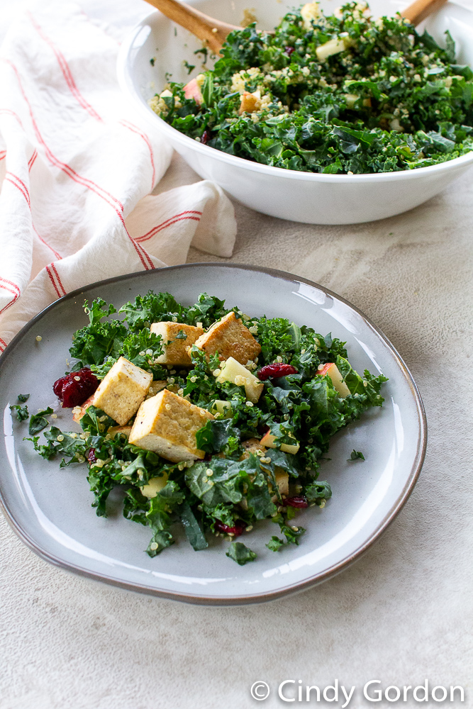 Tofu, kale, apples, green onions, and cranberries on a white plate
