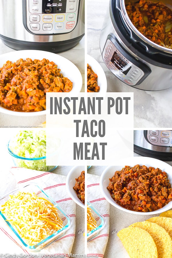 A collage of images of taco meat with overlay text