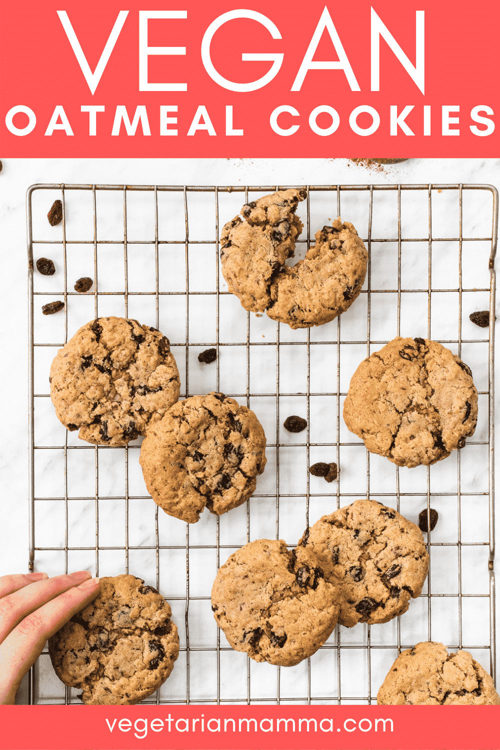 These Vegan Oatmeal Cookies are totally gluten free and a great Celiac snack! They're super easy to whip together with gluten-free rolled oats, yummy raisins, and a pinch of cinnamon.