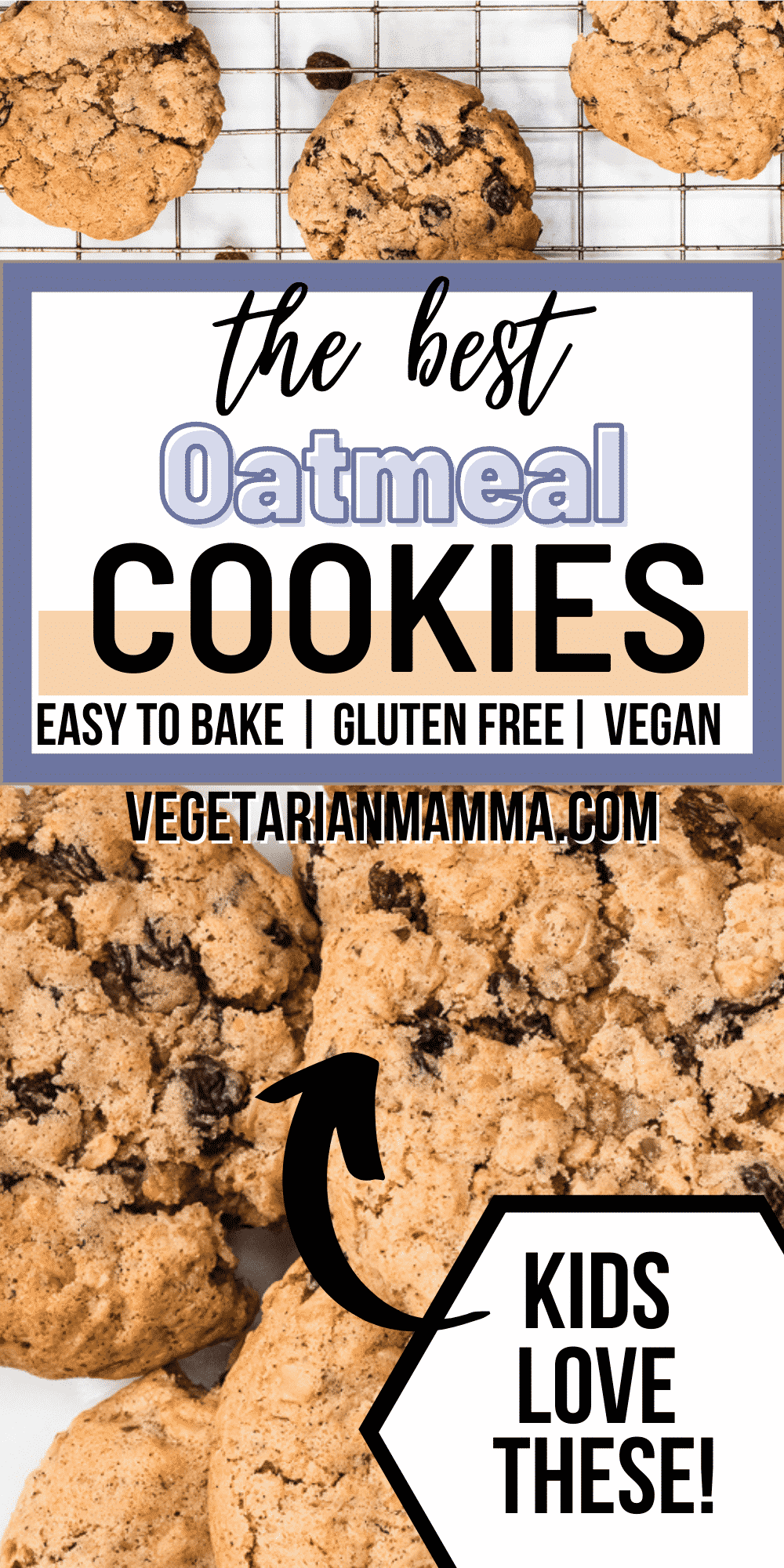 These Vegan Oatmeal Cookies are totally gluten free and a great Celiac snack! They're super easy to whip together with gluten-free rolled oats, yummy raisins, and a pinch of cinnamon.