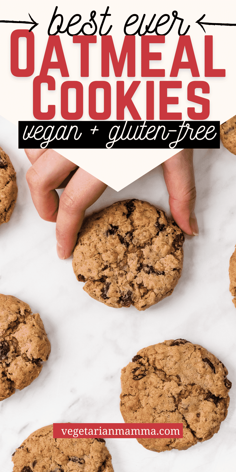 These Vegan Oatmeal Cookies are totally gluten free and a great Celiac snack! They're super easy to whip together with gluten-free rolled oats, yummy raisins, and a pinch of cinnamon.