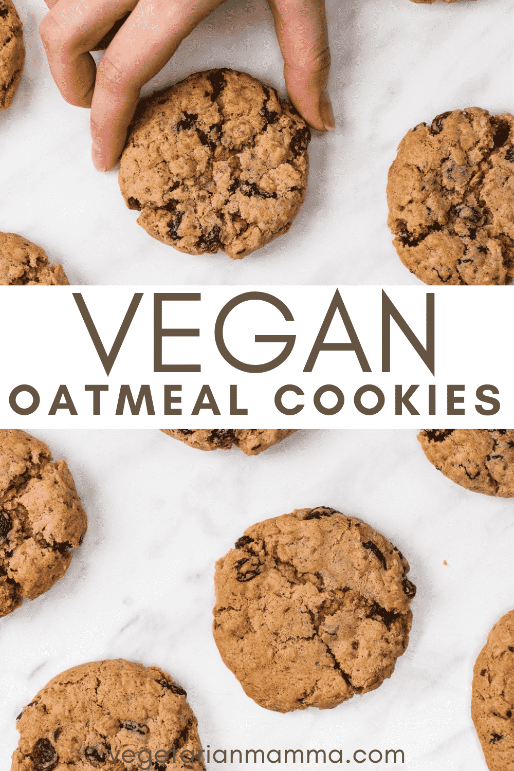 These Vegan Oatmeal Cookies are totally gluten free and a great Celiac snack! They're super easy to whip together with gluten-free rolled oats, yummy raisins, and a pinch of cinnamon.