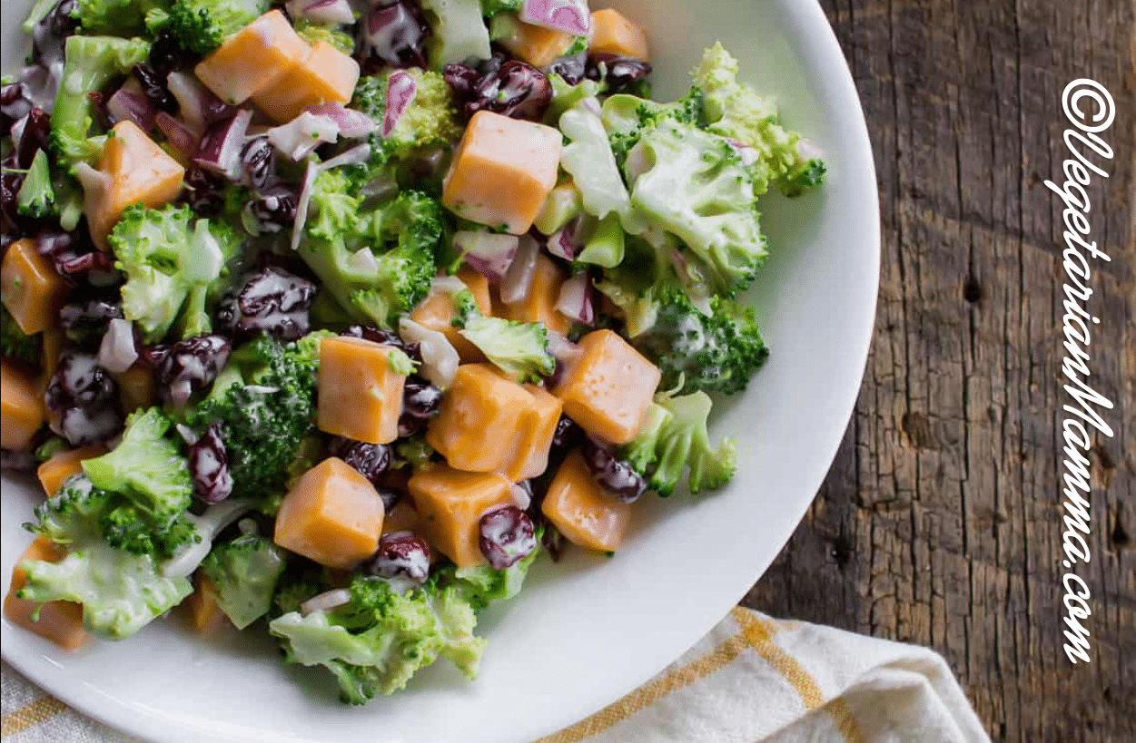 broccoli florets, cheddar cheese, and cranberries in a creamy dressing, all in a white bowl.