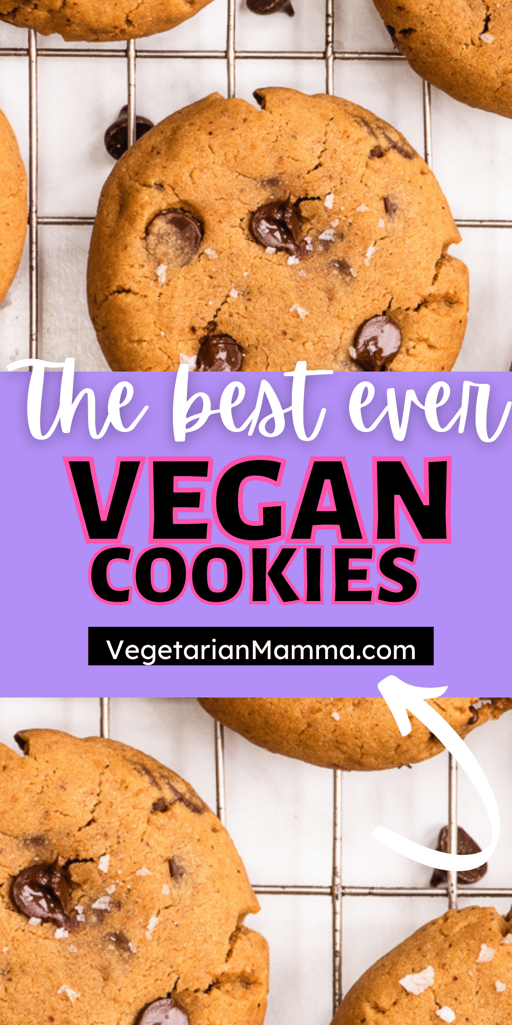 Vegan Peanut Butter Chocolate Chip Cookies are chewy, soft, and packed with chocolate! These are truly the best gluten-free cookies you'll ever make.