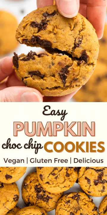 Vegan Pumpkin Chocolate Chip Cookies - Vegetarian Mamma