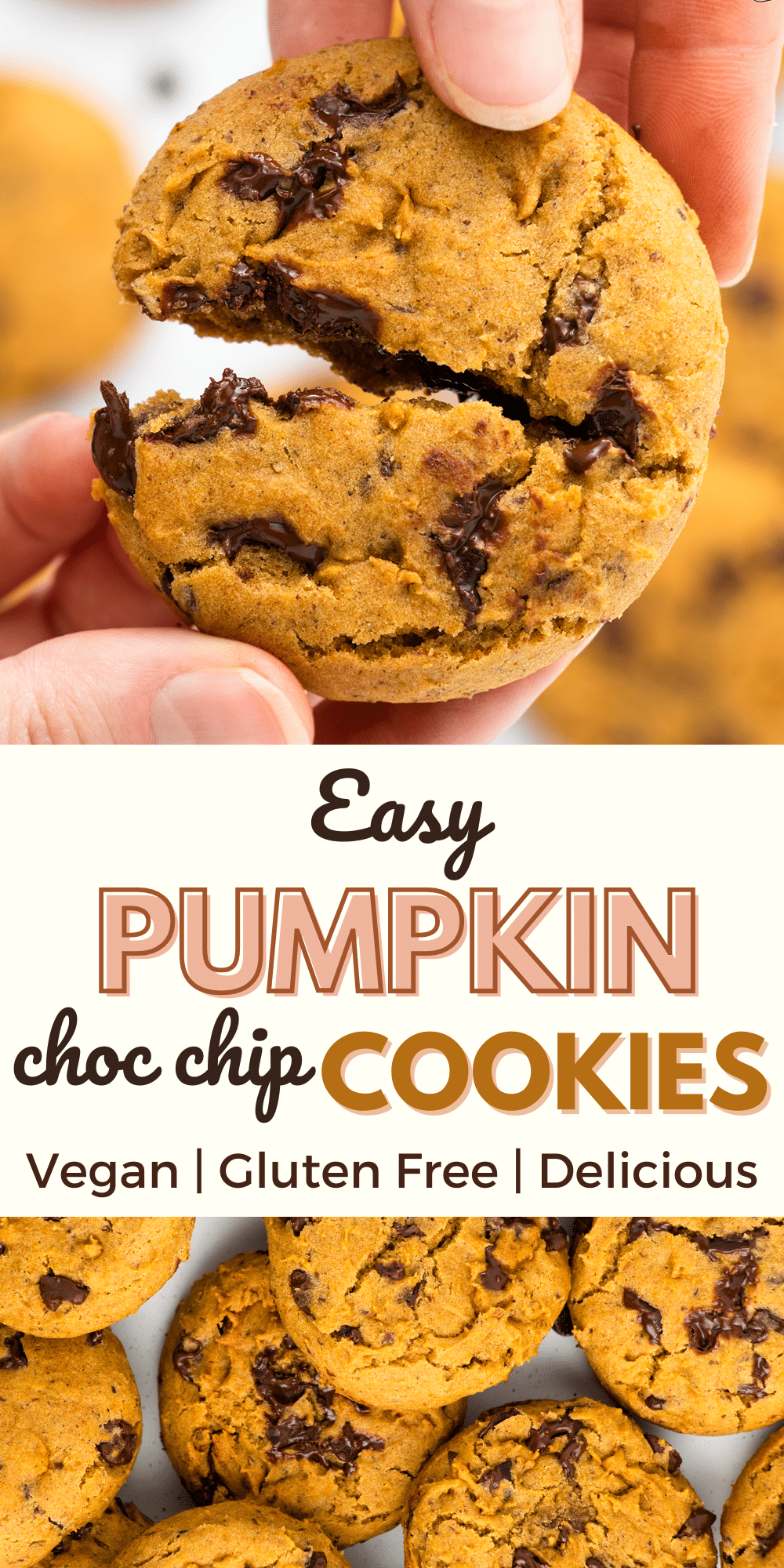 Vegan Pumpkin Chocolate Chip Cookies are the soft and chewy fall cookie of your dreams! These gluten-free cookies are so easy to make with no fancy ingredients required.