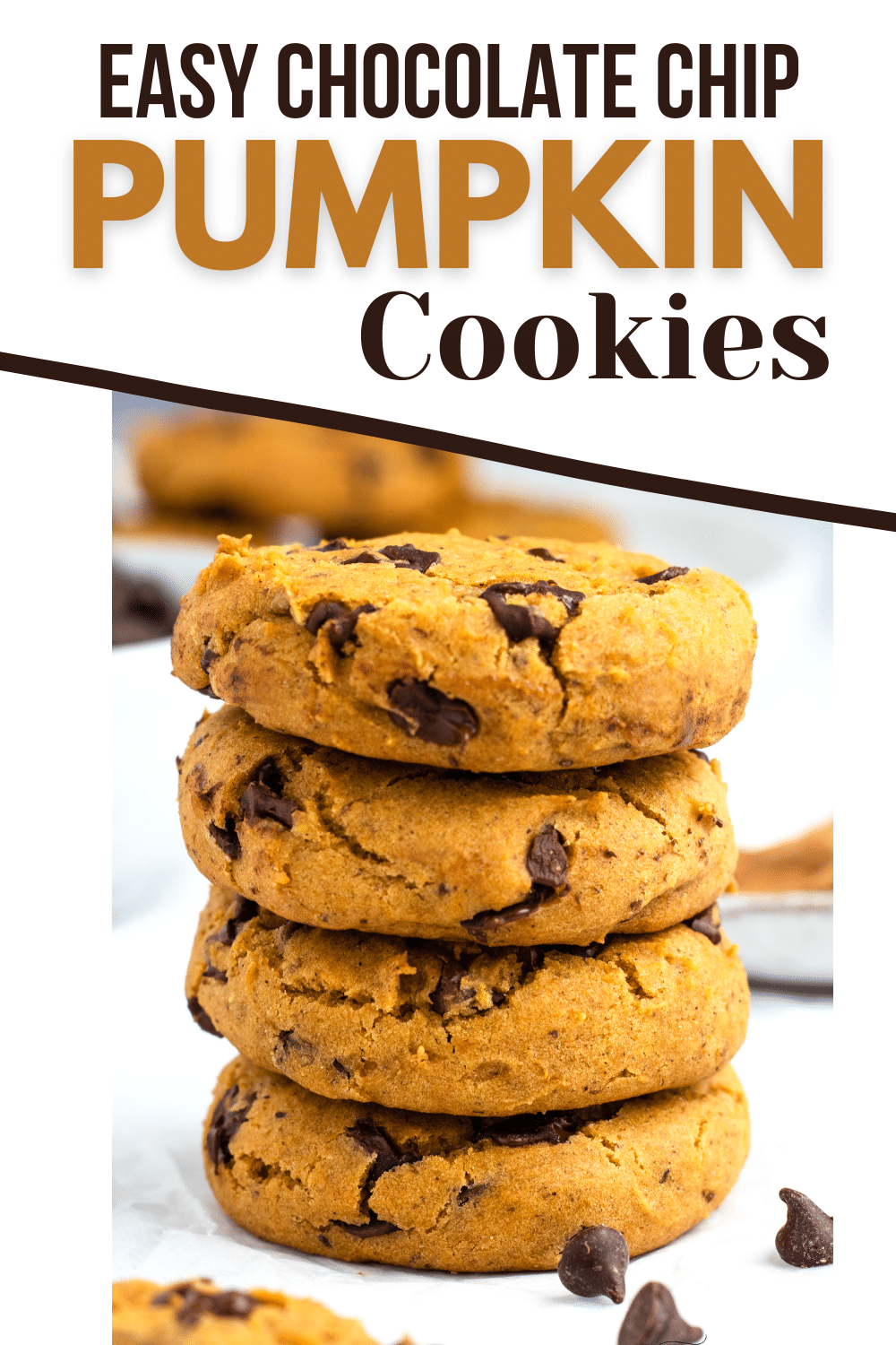 Vegan Pumpkin Chocolate Chip Cookies are the soft and chewy fall cookie of your dreams! These gluten-free cookies are so easy to make with no fancy ingredients required.