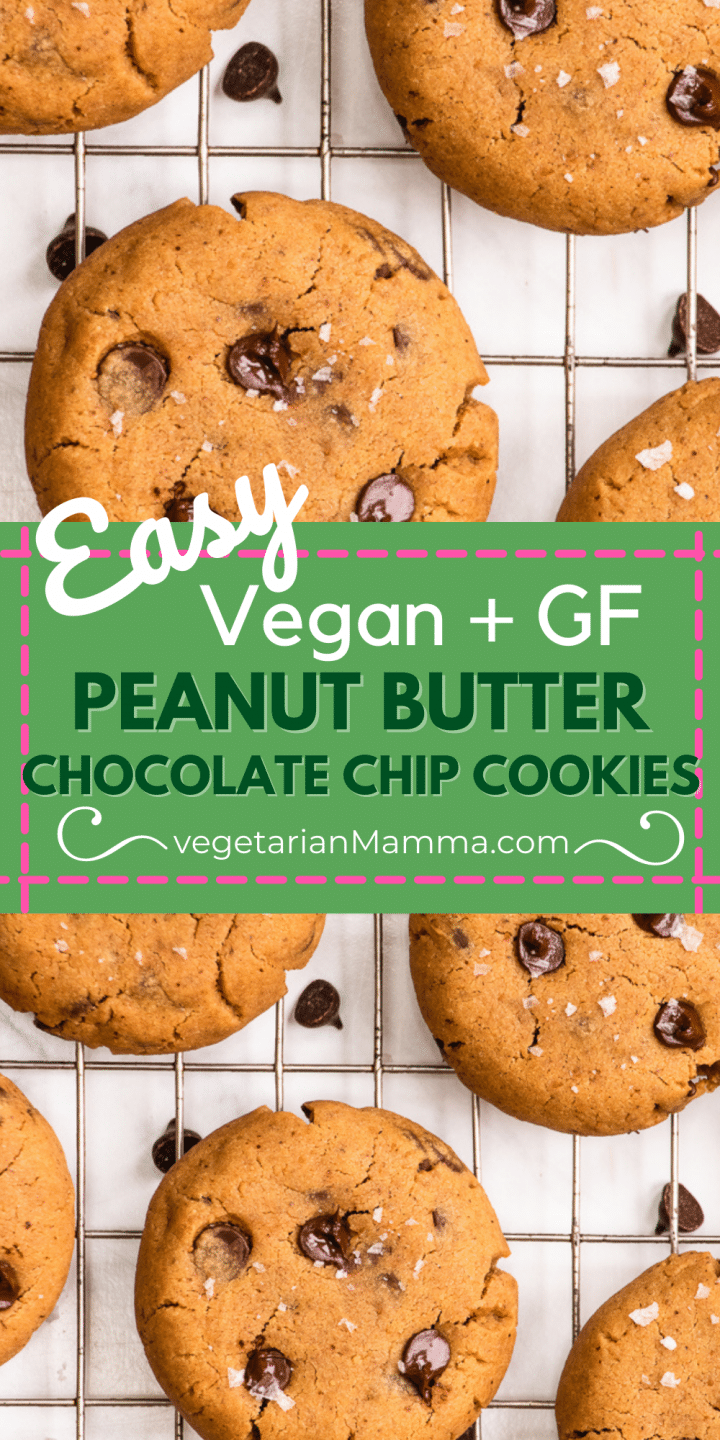 Vegan Peanut Butter Chocolate Chip Cookies Vegetarian Mamma