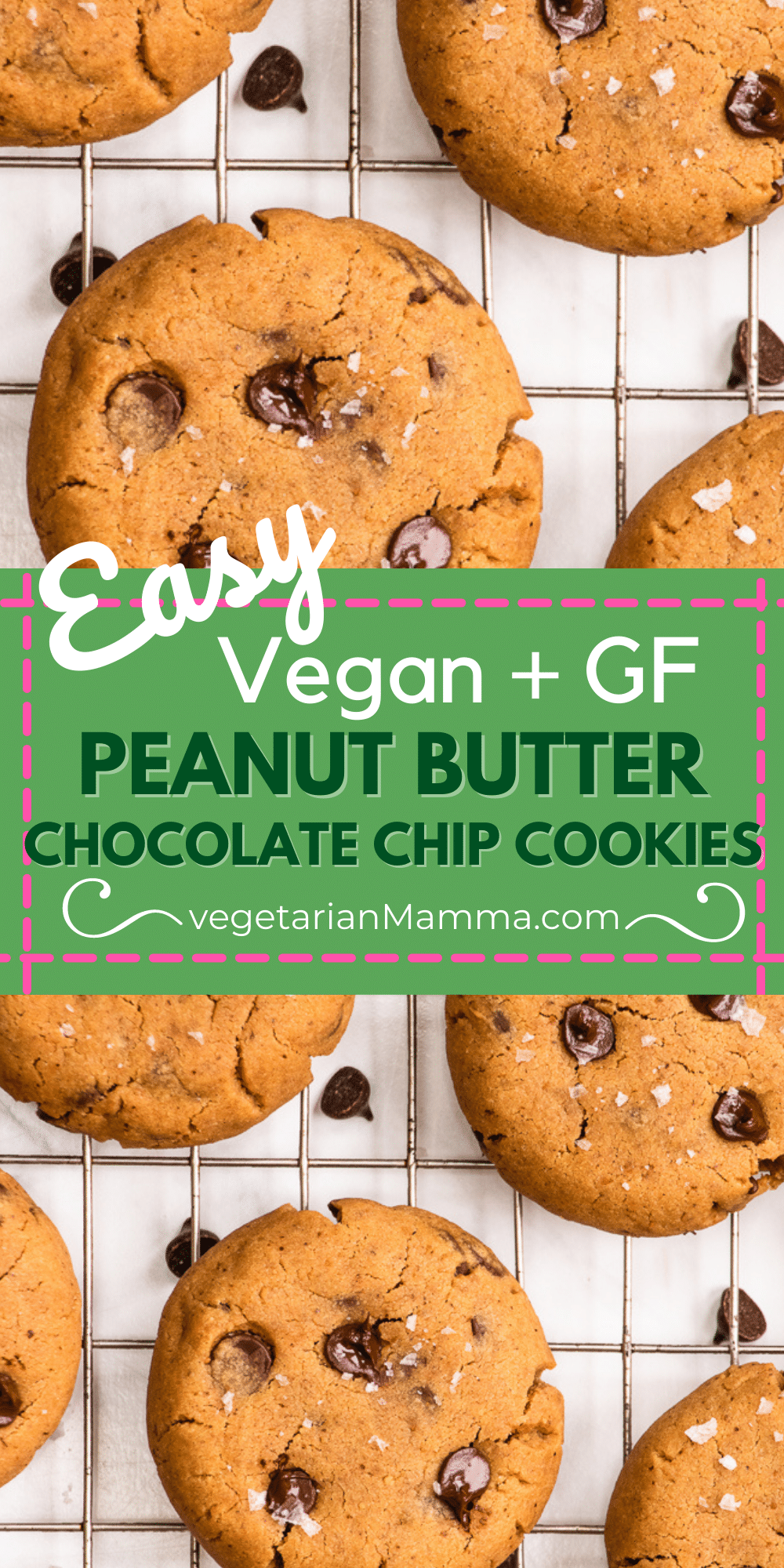 Vegan Peanut Butter Chocolate Chip Cookies are chewy, soft, and packed with chocolate! These are truly the best gluten-free cookies you'll ever make.