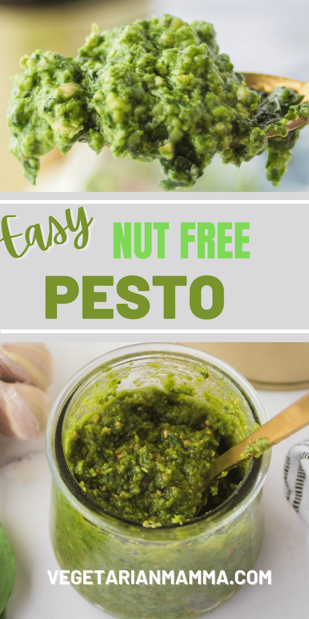 A delicious sauce made with fresh basil and garlic, typically pesto involves nuts, but not this one! Nut Free pesto is made with sunflower seeds to make it allergy friendly, but still delicious. #pesto #allergyfriendly