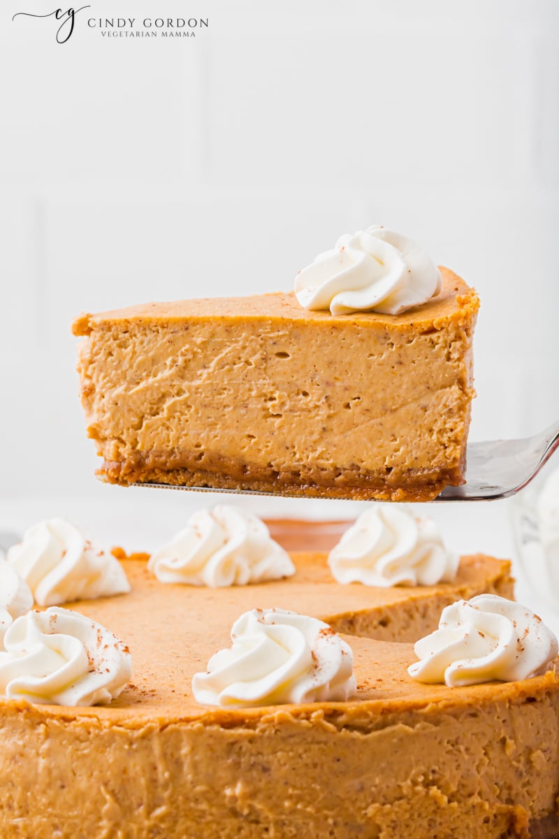 Side shot of a thick slice of pumpkin cheesecake with a dollop of whipped coconut cream