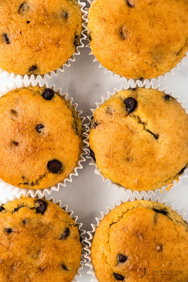 Overhead shot of six chocolate chip muffins in white liners