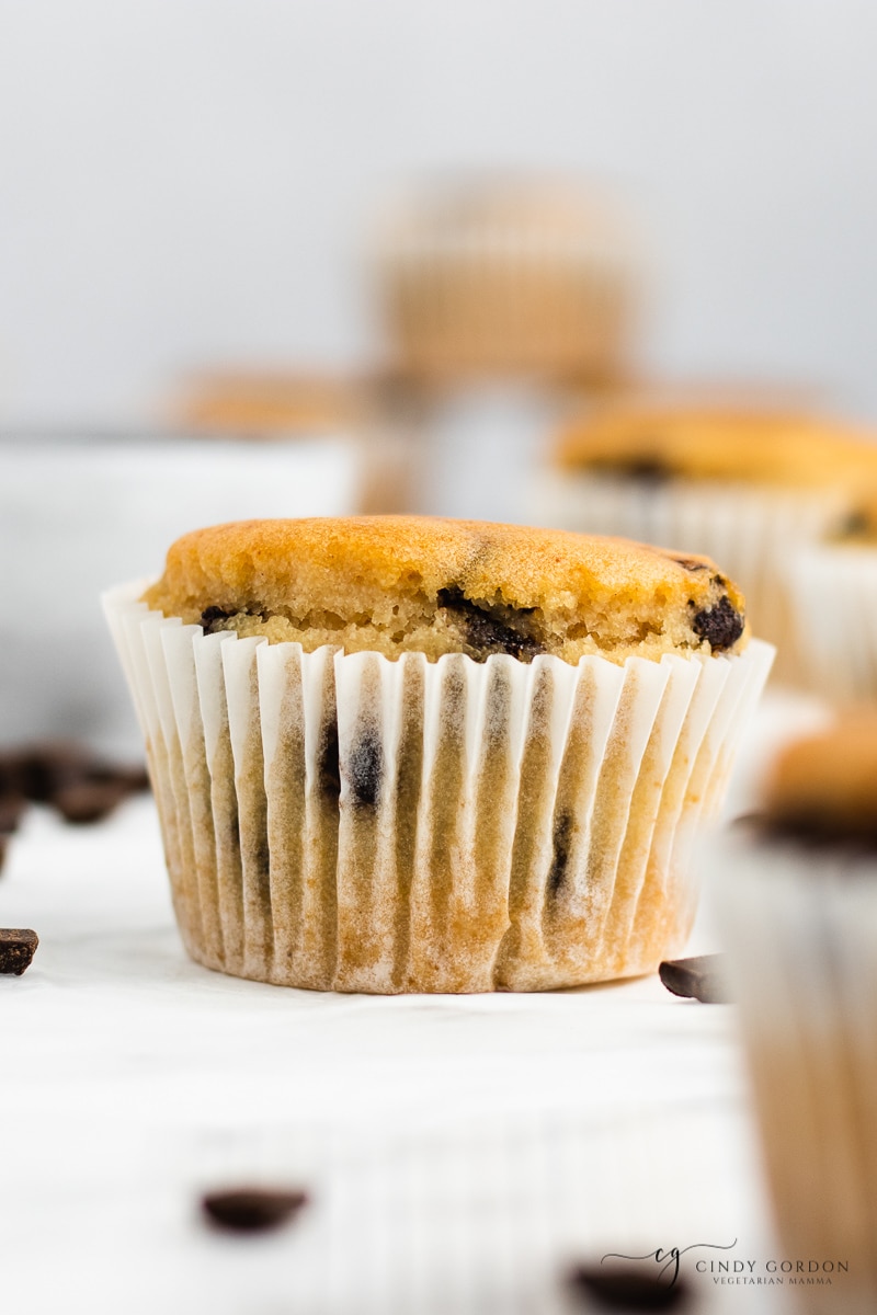 A fluffy chocolate chip muffin surrounded by chocolate bits in a white cupcake liner