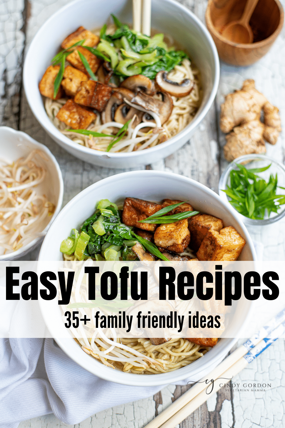 Did you know that tofu takes on whatever flavor you are cooking with? It is true! So we are going to teach you how to flavor your tofu with some easy tofu recipes! Easy Tofu Recipes can make your weeknight dinners easy to prepare. Read on to find 35+ easy tofu recipes you can start to make this week! #tofu #tofurecipes #easyrecipes #Easytofurecipes