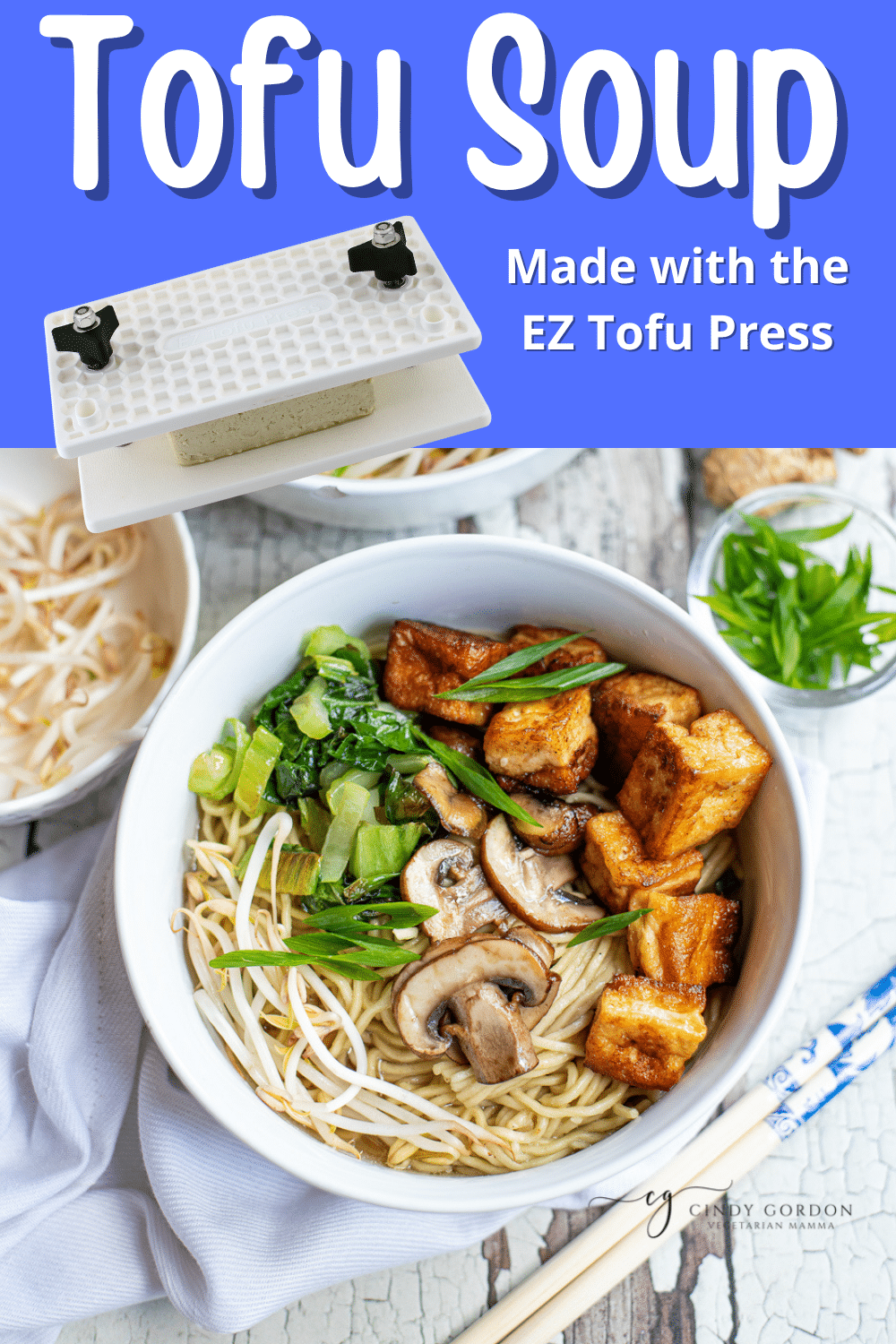 Tofu Soup is so warm and comforting with an Asian-inspired broth and all your favorite veggies! Add this crispy marinated tofu for a delicious vegan soup that's ready in minutes instead of hours.