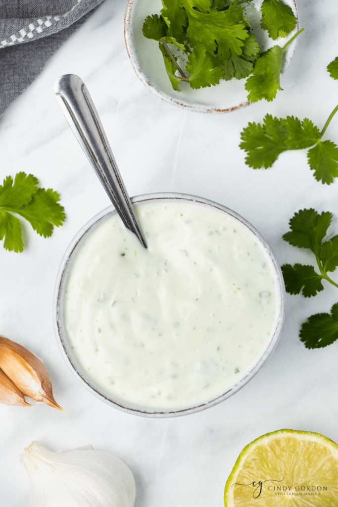 Cilantro Garlic Sauce Vegetarian Mamma