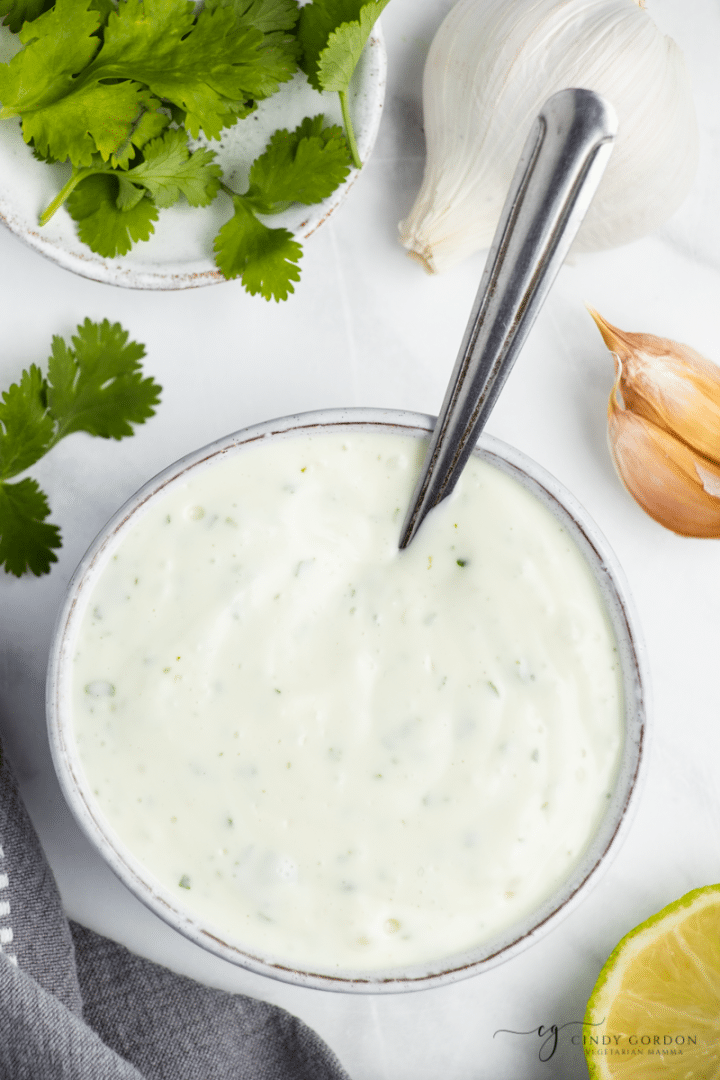 Cilantro Garlic Sauce Vegetarian Mamma