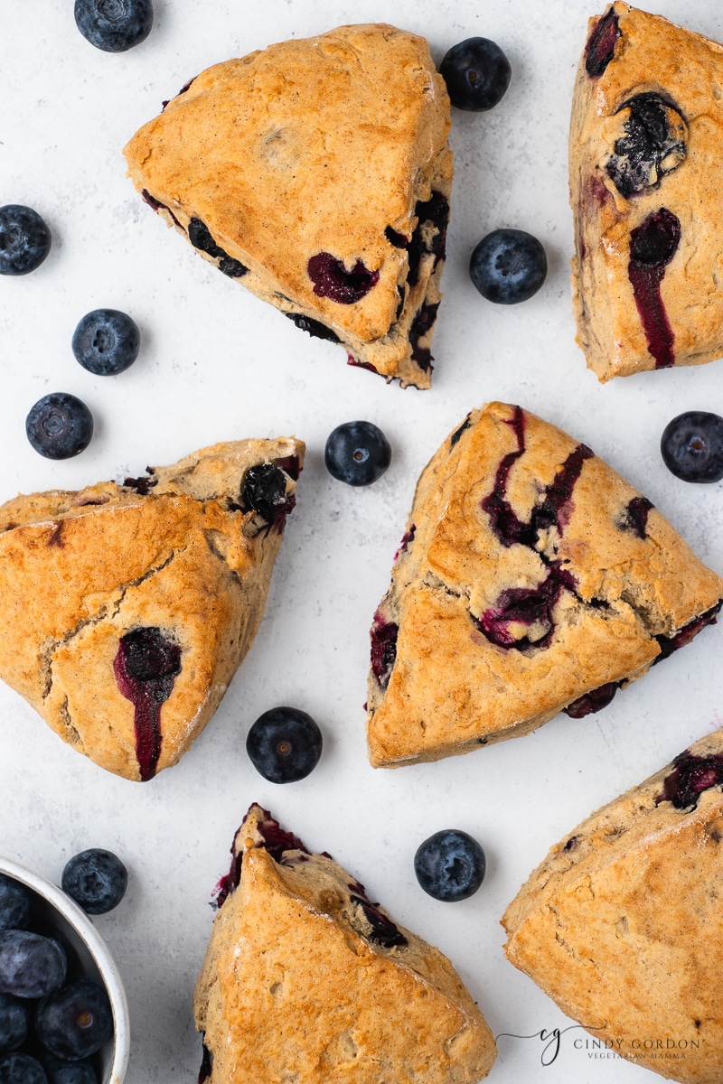overhead view of a tray of triangular  vegan blueberry scones with fresh blueberries scattered around.
