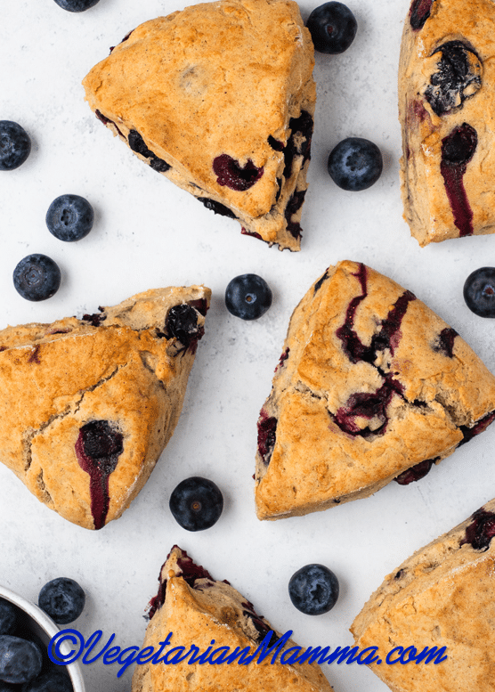 overhead view of a tray of triangular vegan blueberry scones with fresh blueberries scattered around.