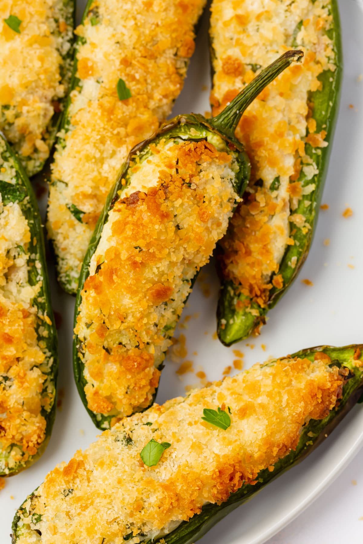 up close shot o white plate full of sliced open jalapeno peppers that are stuffed with white and green cream cheese and golden brown breading.