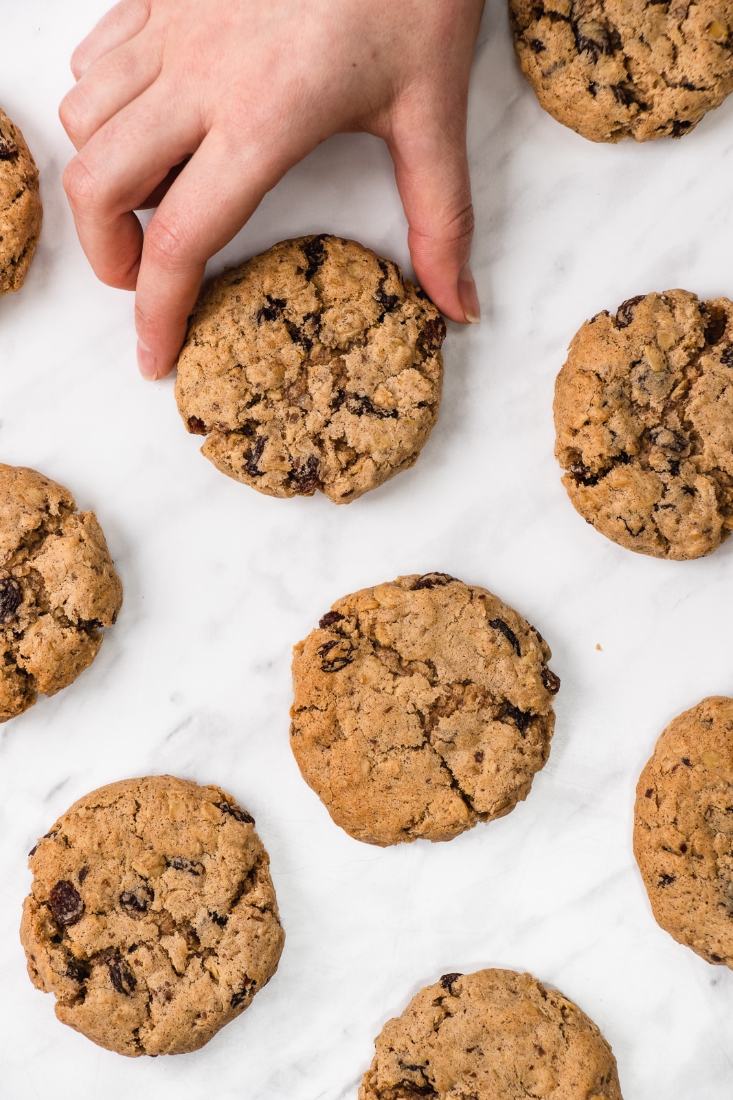 hand grabbing one vegan oatmeal raisin cookies - brown fluffy cookies with dark brown raisins