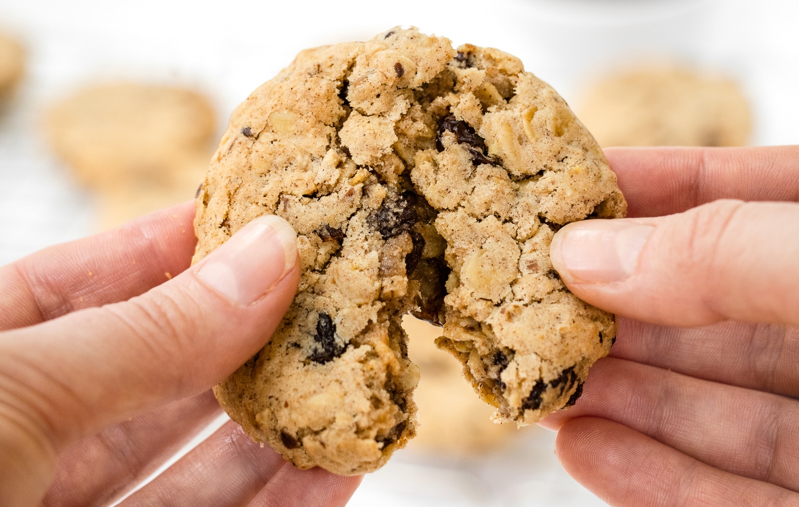 hand pulling apart one vegan oatmeal raisin cookies - brown fluffy cookies with dark brown raisins