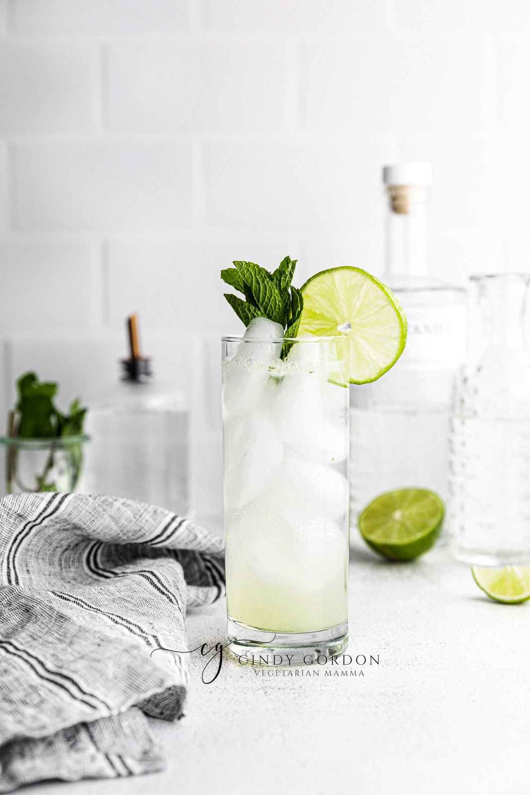 Gin Mojito in a tall clear glass with ice cubes, clear liquid, mint garnish and lime garnish