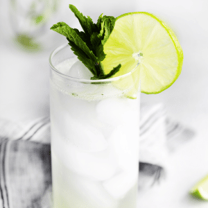 Gin Mojito in a tall clear glass with ice cubes, clear liquid, mint garnish and lime garnish