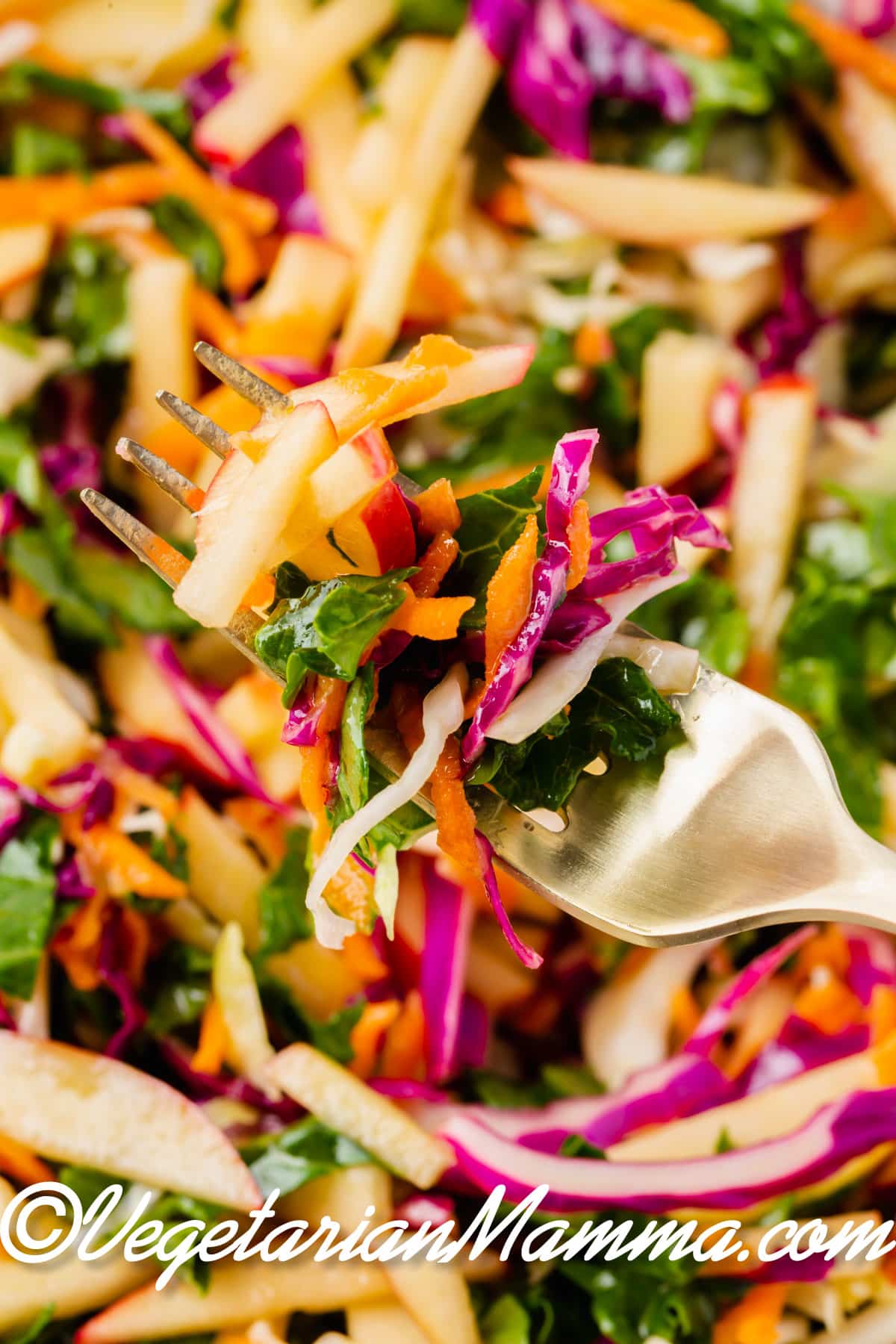 closeup shot of a slow made with kale, cabbage, apples, and carrots.