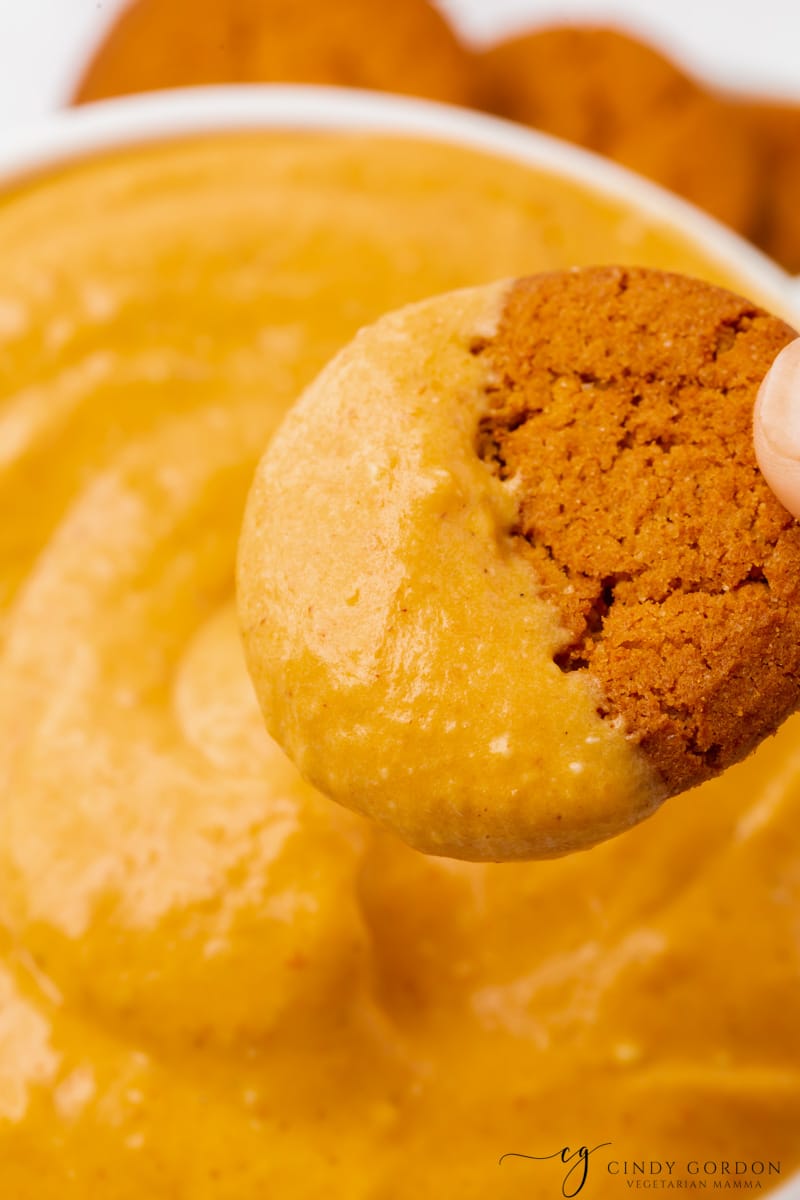 Closeup view of a gingersnap cookie dipped into homemade pumpkin cream cheese dip