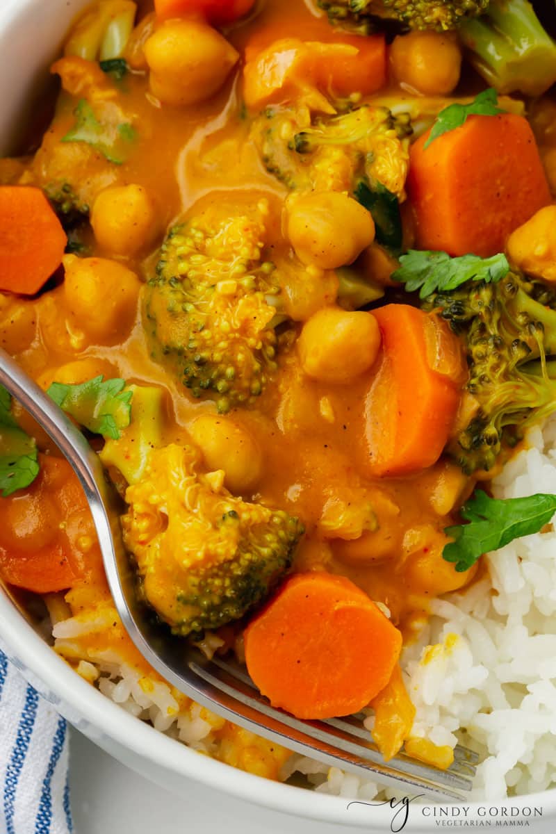 Closeup view of a bowl of p umpkin curry and rice