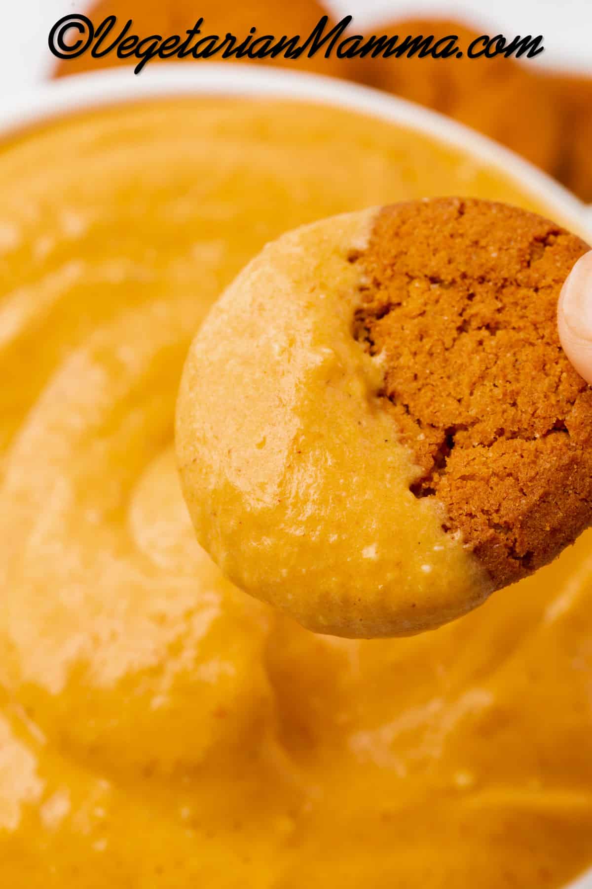 Close-up view of a gingersnap cookie dipped into homemade pumpkin cream cheese dip.