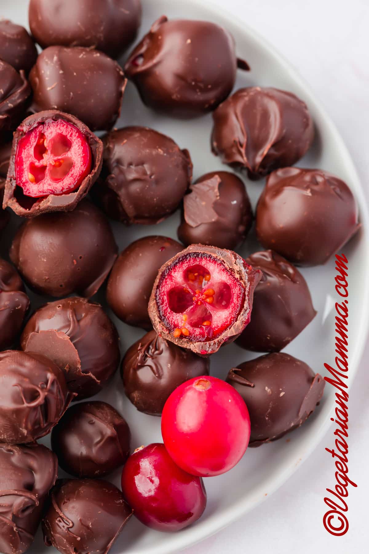 close-up of a plate filled with chocolate-covered cranberries.