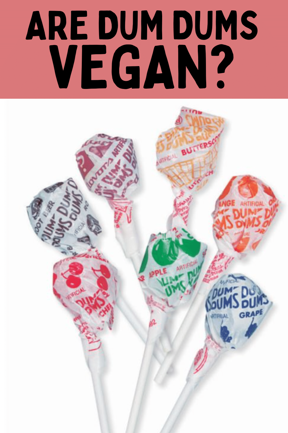 You want to know: are dum dums vegan? We have all the details in this post! We will answer all your questions about dum dums being vegan or not.