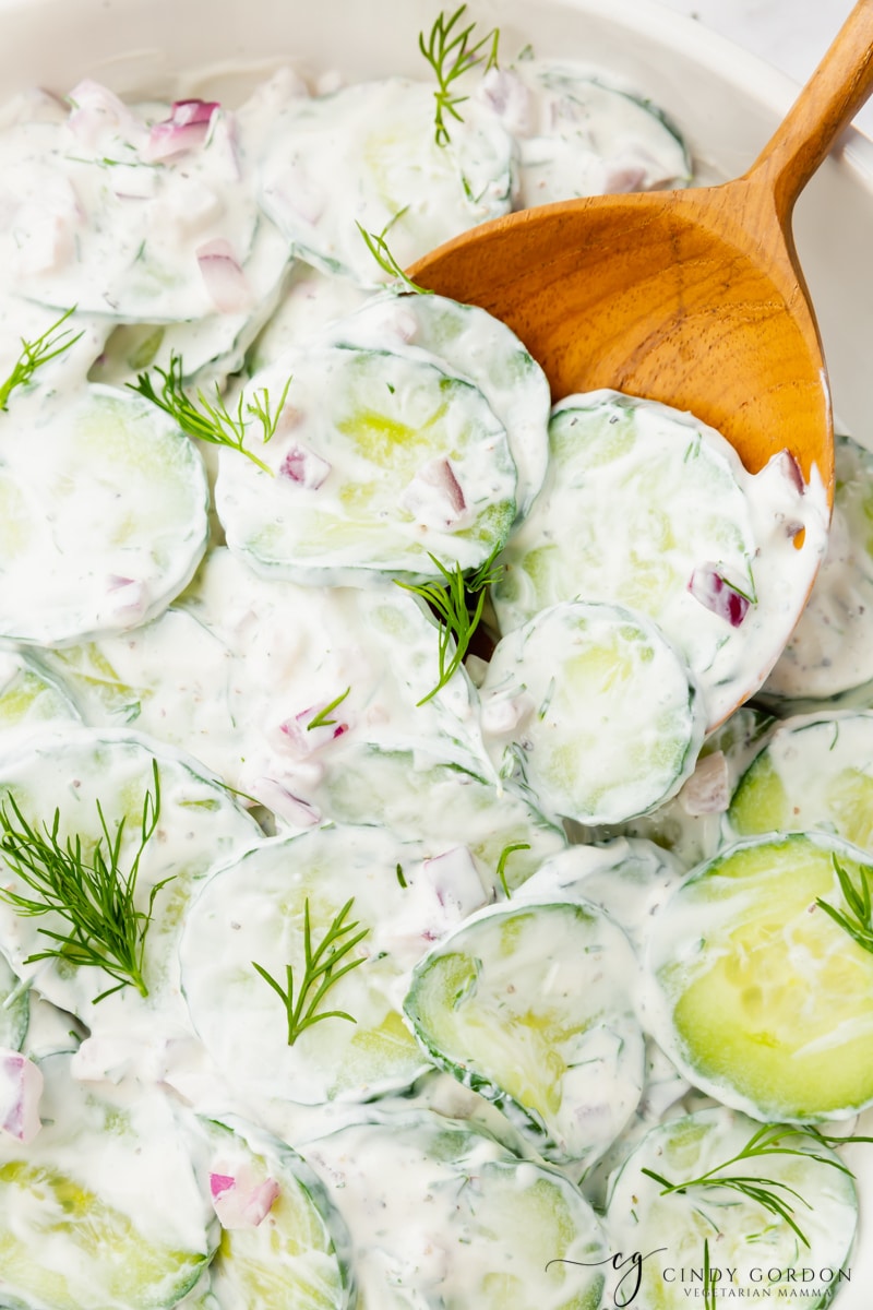 Sliced cucumbers dressed in sour cream for polish cucumber salad. a large wooden spoon is serving the salad, and fresh dill sprigs are sprinkled on.