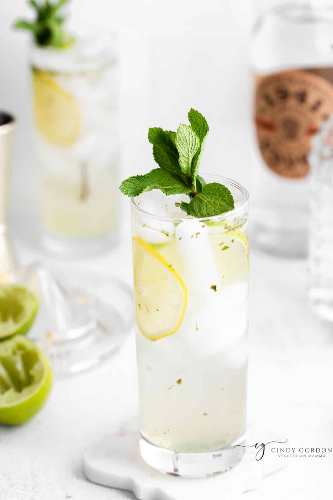 a tall bootlegger cocktail with fresh mint and vodka, slices of lemon and lime. 