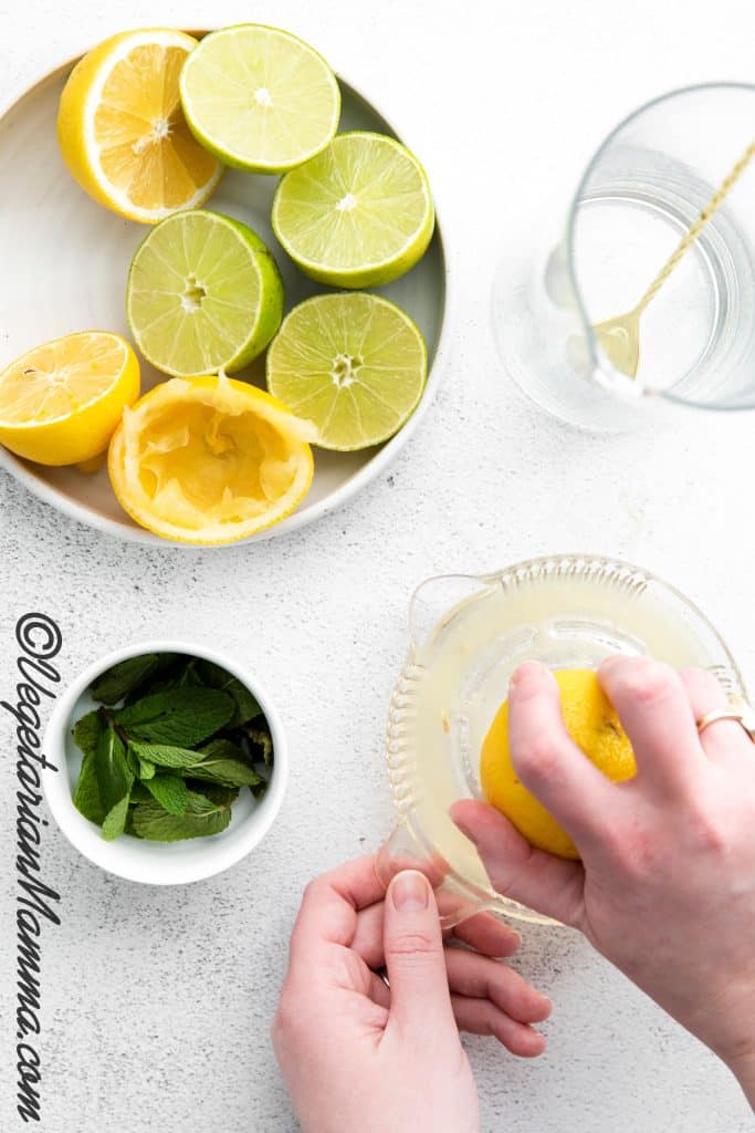 bowl of cut lemons and limes to be squeezed