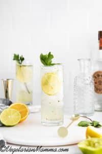 Mix and add a lemon wheel garnish