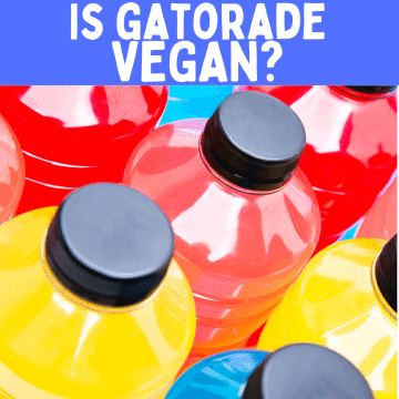 text overlay: is gatorade vegan? pictured are tops of plastic bottles with black caps LIquid in bottles yellow, red or blue