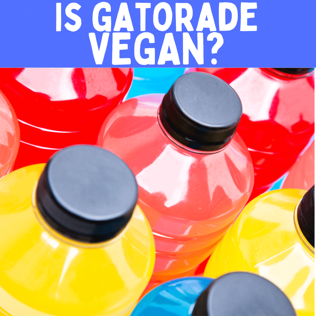 Is Gatorade Vegan? (2023 Updated) - Hassle Free Vegan