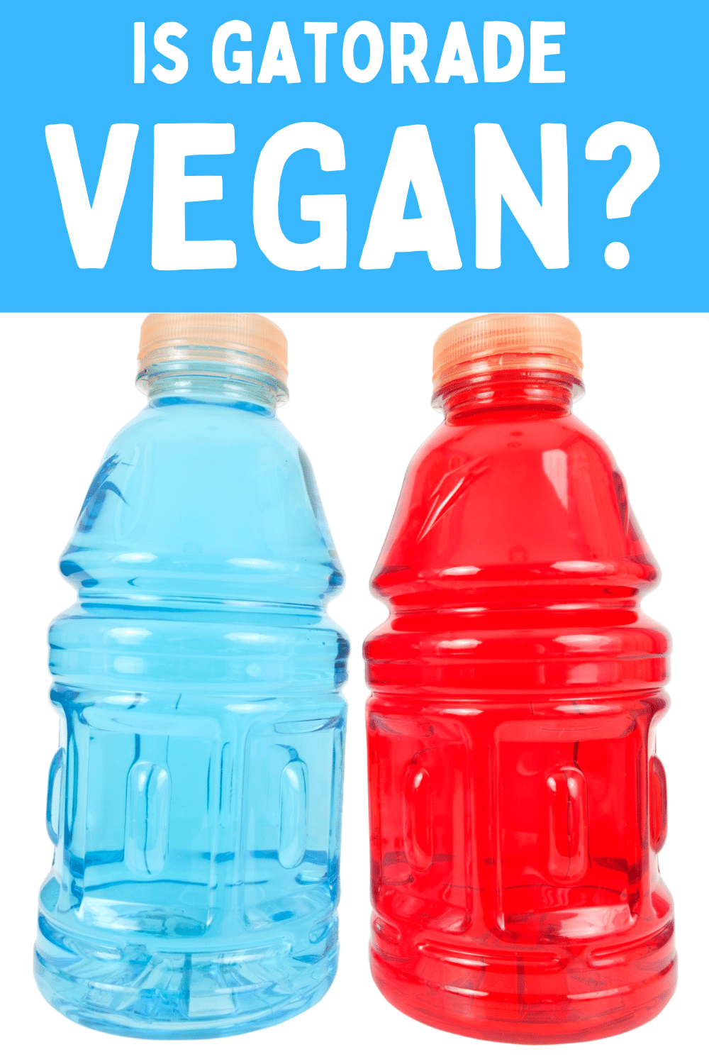 text overlay: is gatorade vegan?, pictured are two plastic bottles, one with red liquid and one with blue liquid, both have orange caps